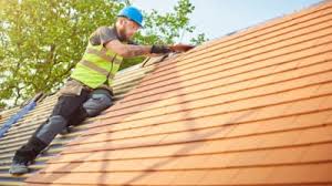 Best Solar Panel Roofing Installation  in Paloma Creek South, TX