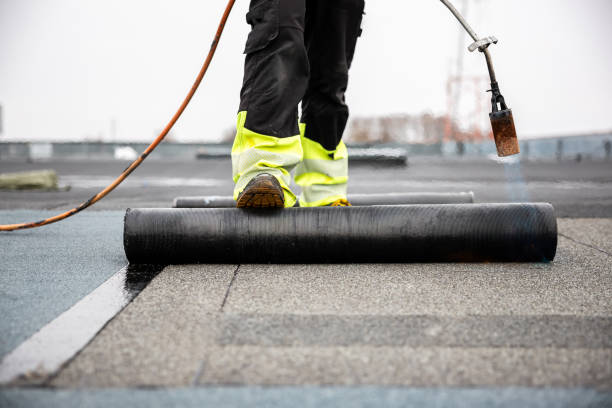 Best Roof Moss and Algae Removal  in Paloma Creek South, TX