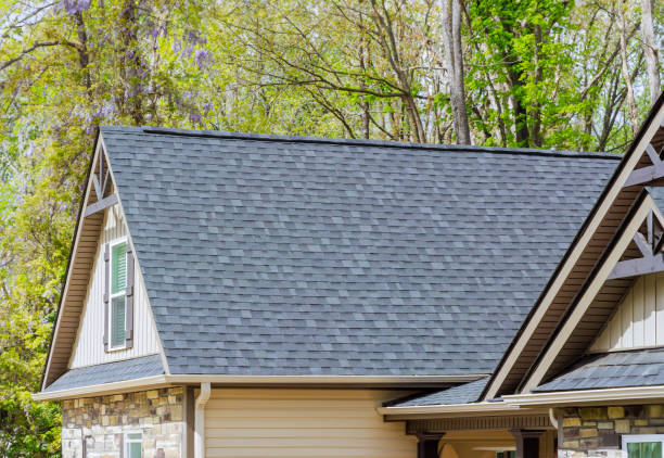 Gutter Replacement in Paloma Creek South, TX