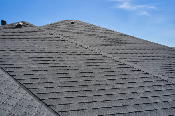 Best Green or Eco-Friendly Roofing Solutions  in Paloma Creek South, TX