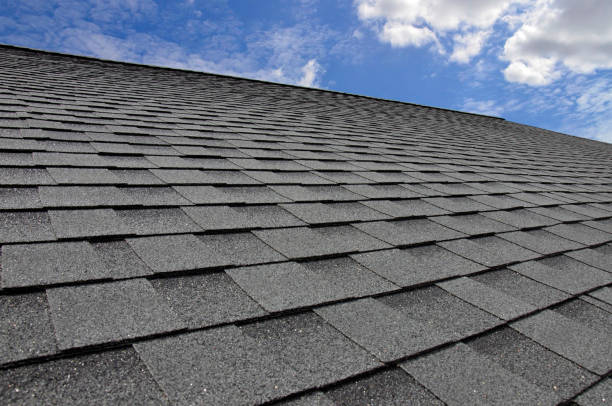 Roof Insulation in Paloma Creek South, TX